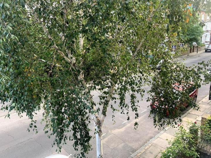 Lovely Spacious 1-Bedroom Flat In Tufnell Park Close To Central London Luaran gambar
